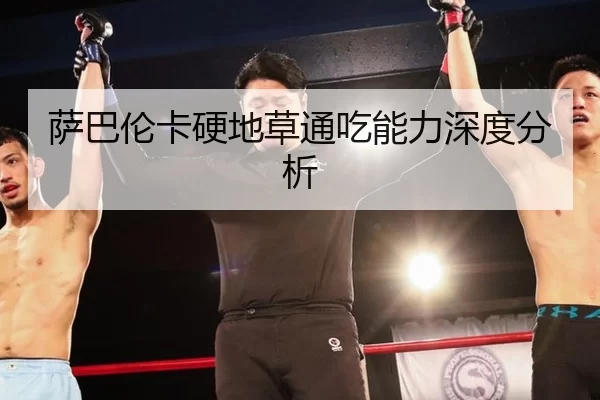 萨巴伦卡硬地草通吃能力深度分析